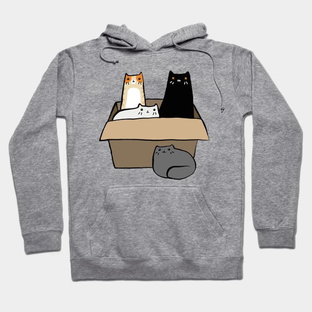 Cats in a Box Hoodie by howardedna